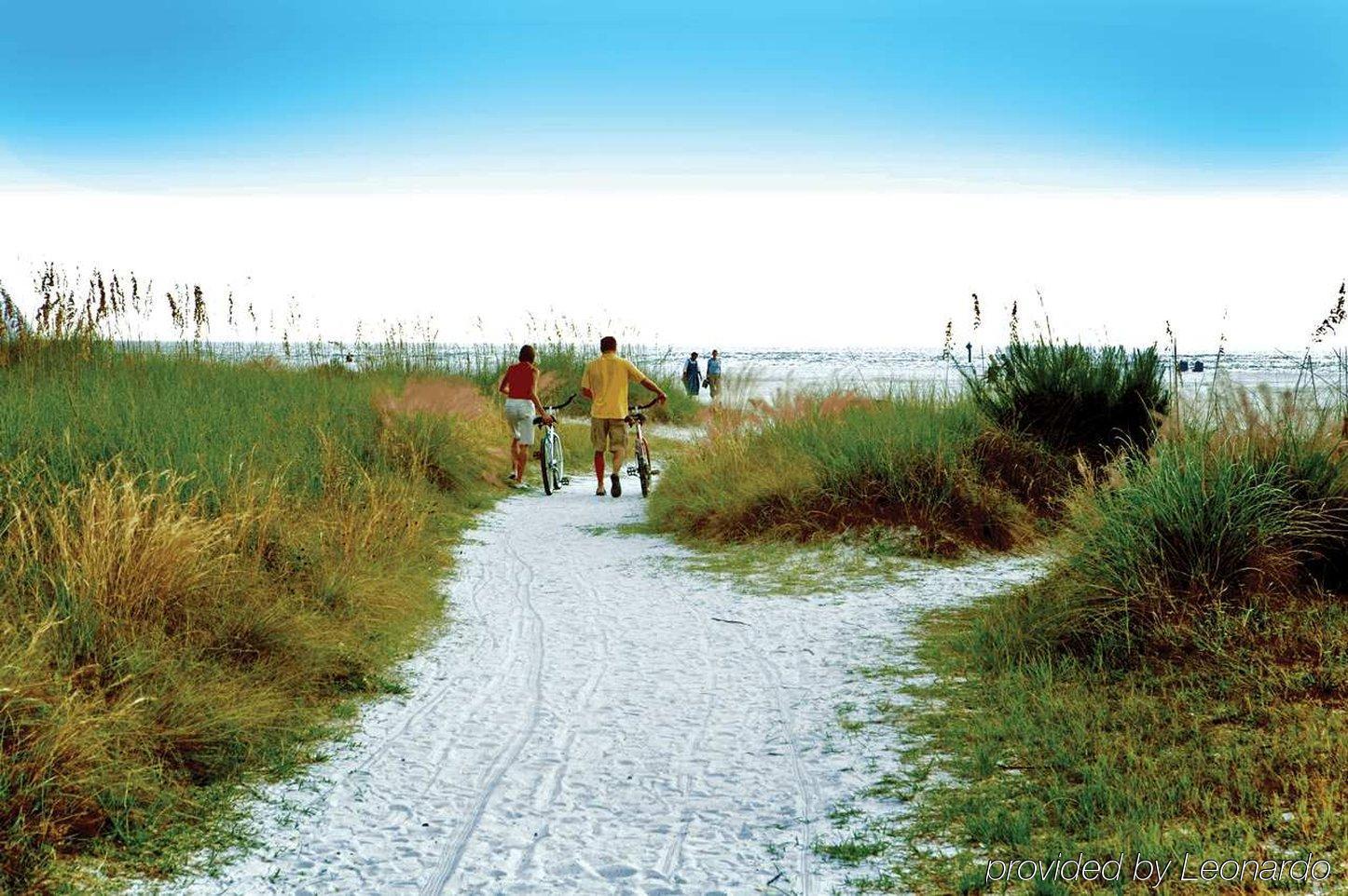 Hilton Garden Inn Sarasota-Bradenton Airport Ngoại thất bức ảnh