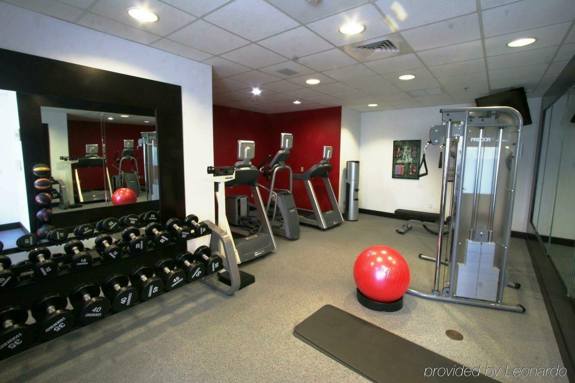 Hilton Garden Inn Sarasota-Bradenton Airport Ngoại thất bức ảnh